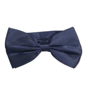 Gravata borboleta azul