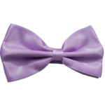 gravata borboleta violeta